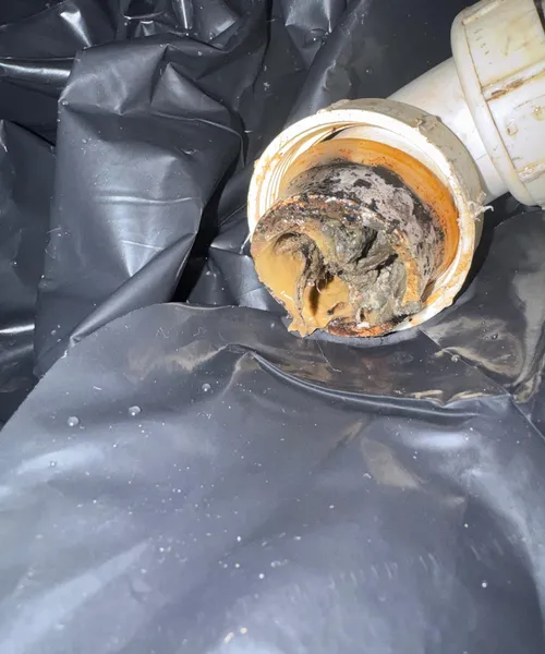 Clear grease in sinks in Bellevue 